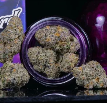 Wizard Trees: Black Magic