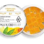 CBD Relief Tropical Mango 9:1 Gummies